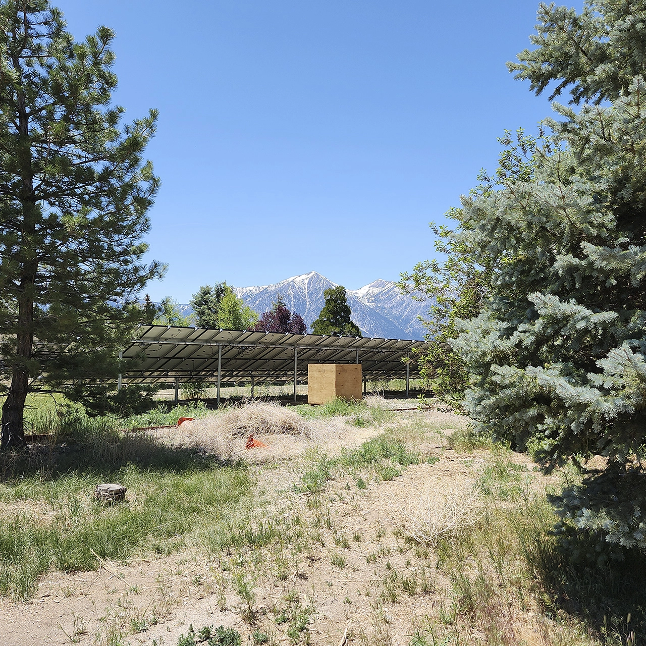 RaVolt – Agricultural Field